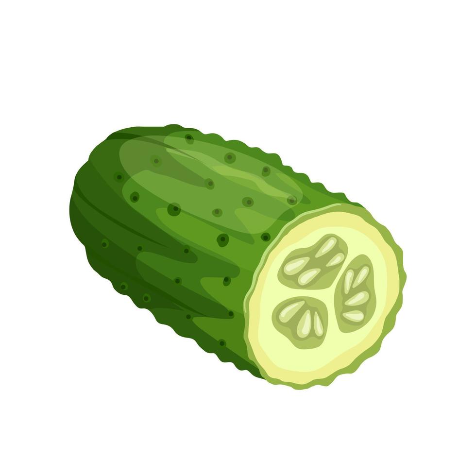 cucumber cut cartoon vector illustration