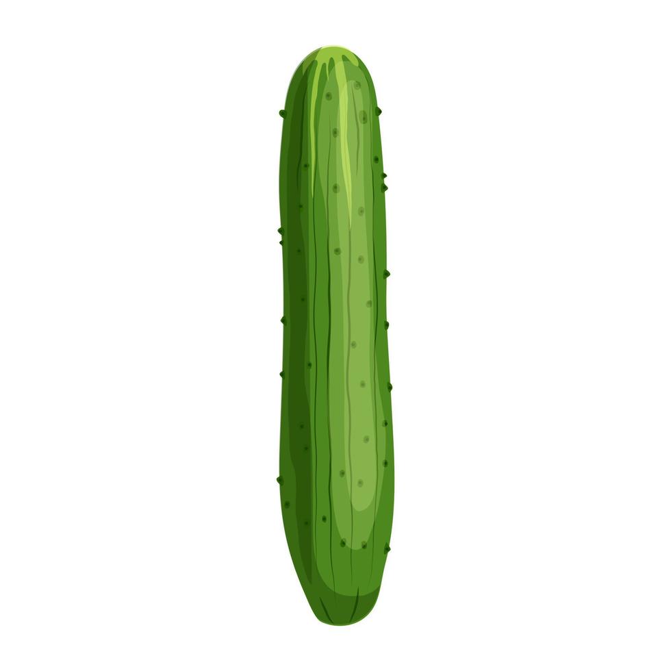 cucumber food cartoon vector illustration