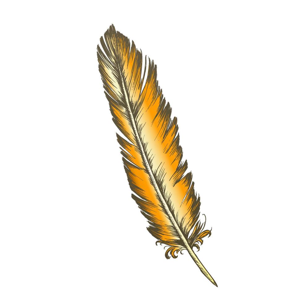 Color Decorative Bird Element Feather Monochrome Vector
