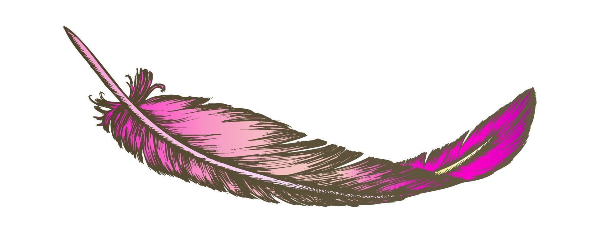 Color Lost Bird Outer Element Feather Hand Drawn Vector