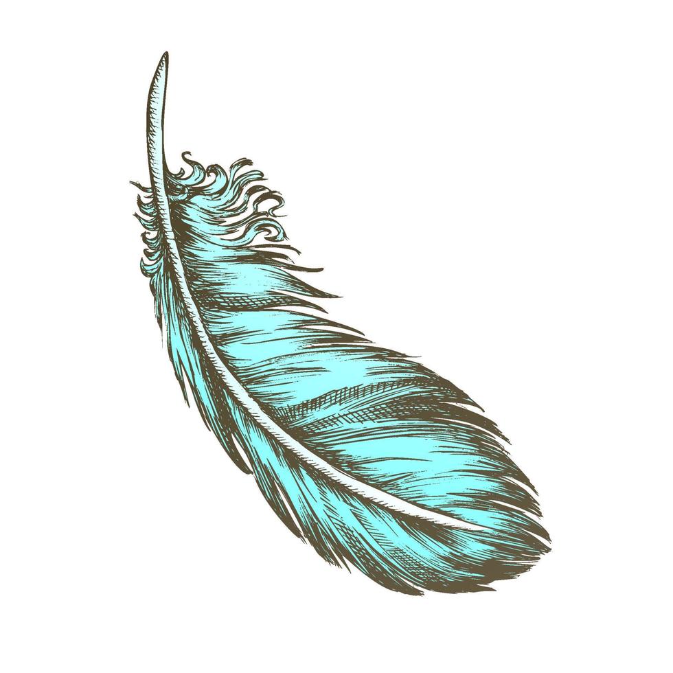 color perdido pájaro elemento exterior pluma monocromo vector