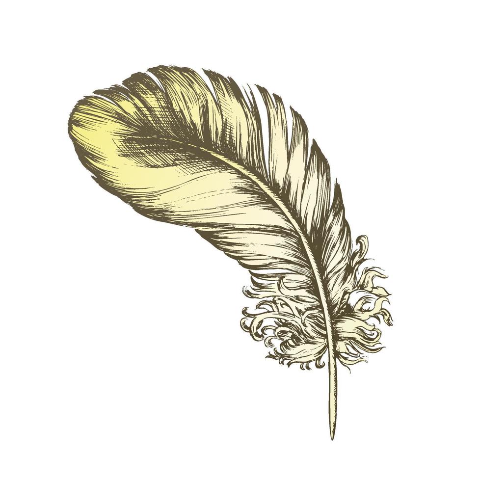 Color Decorative Bird Flying Element Feather Ink Vector
