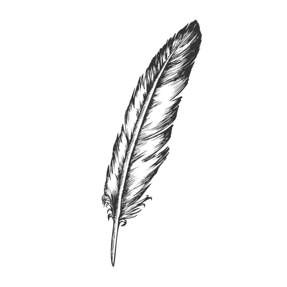 vector de pluma de elemento volador de pájaro decorativo