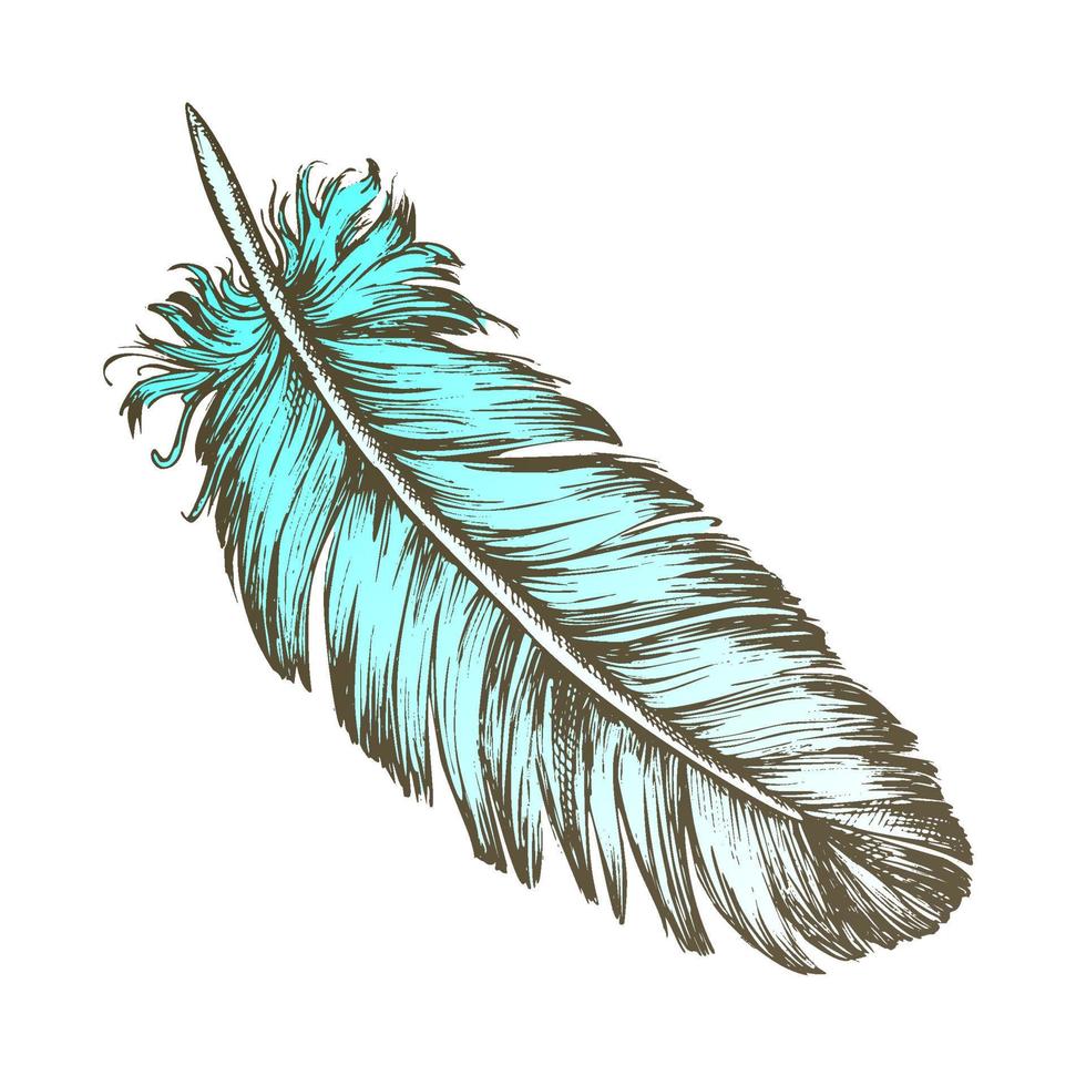 Color Lost Bird Outer Element Feather Sketch Vector
