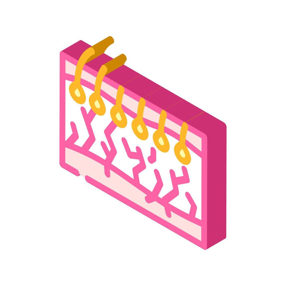 shave hair isometric icon vector illustration