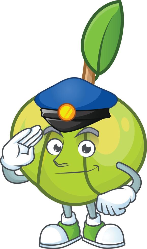 Elephant Apple Fruit Vector