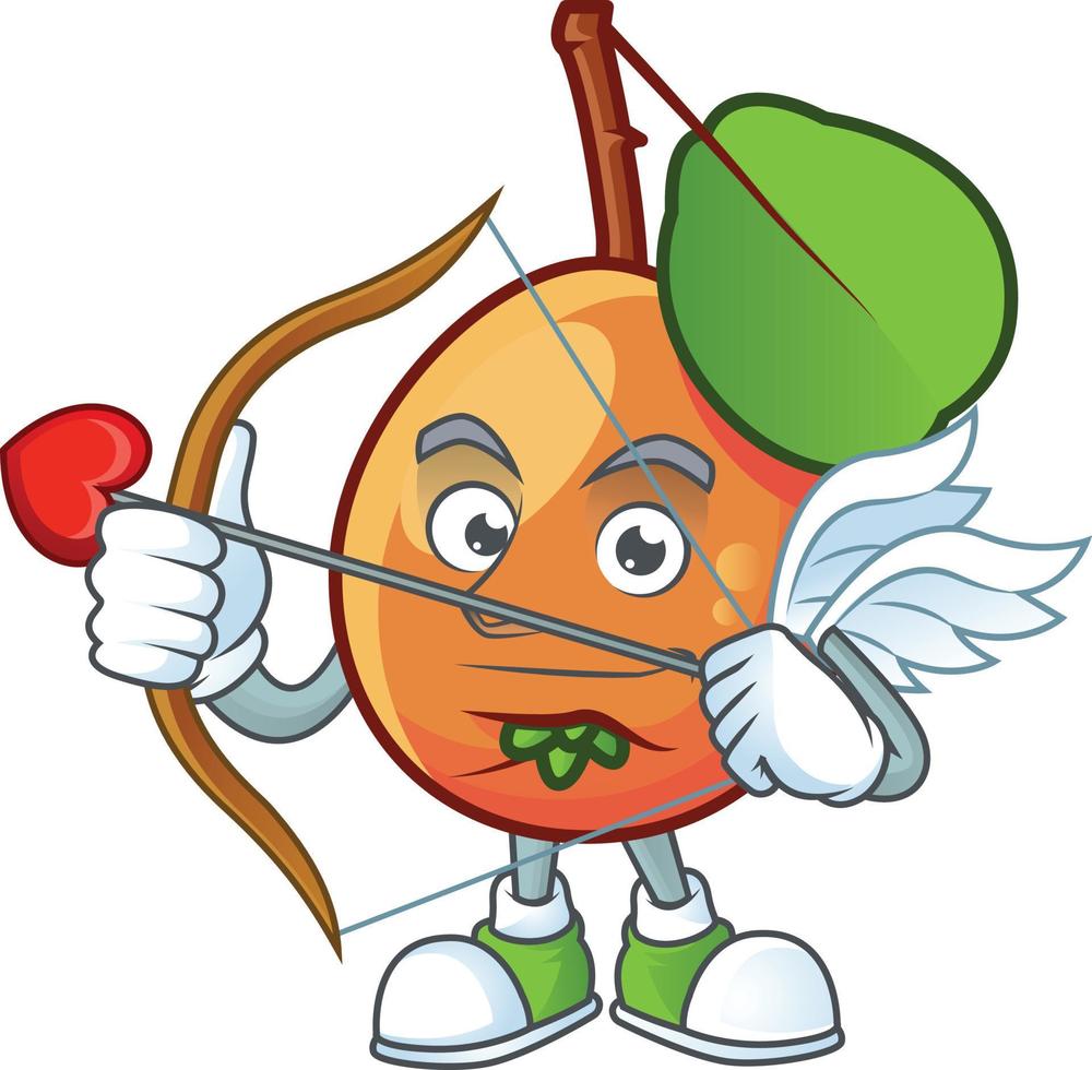 Shipova Fruit Vector
