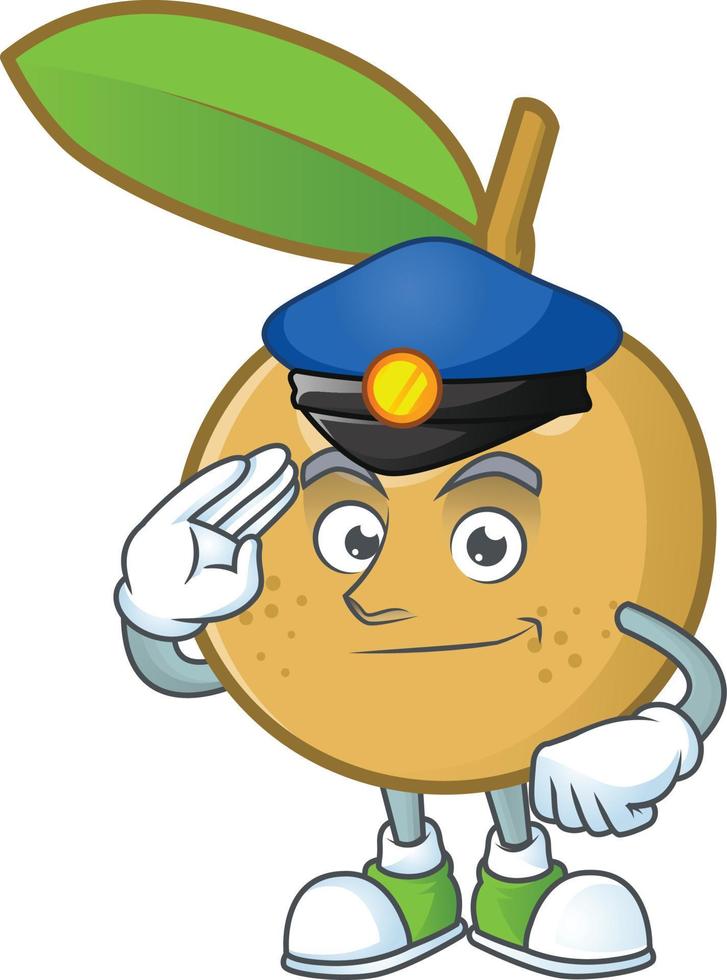 Longan Fruit Vector