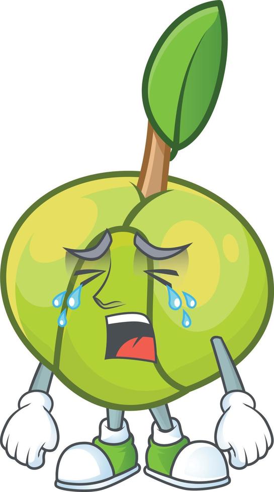 Elephant Apple Fruit Vector