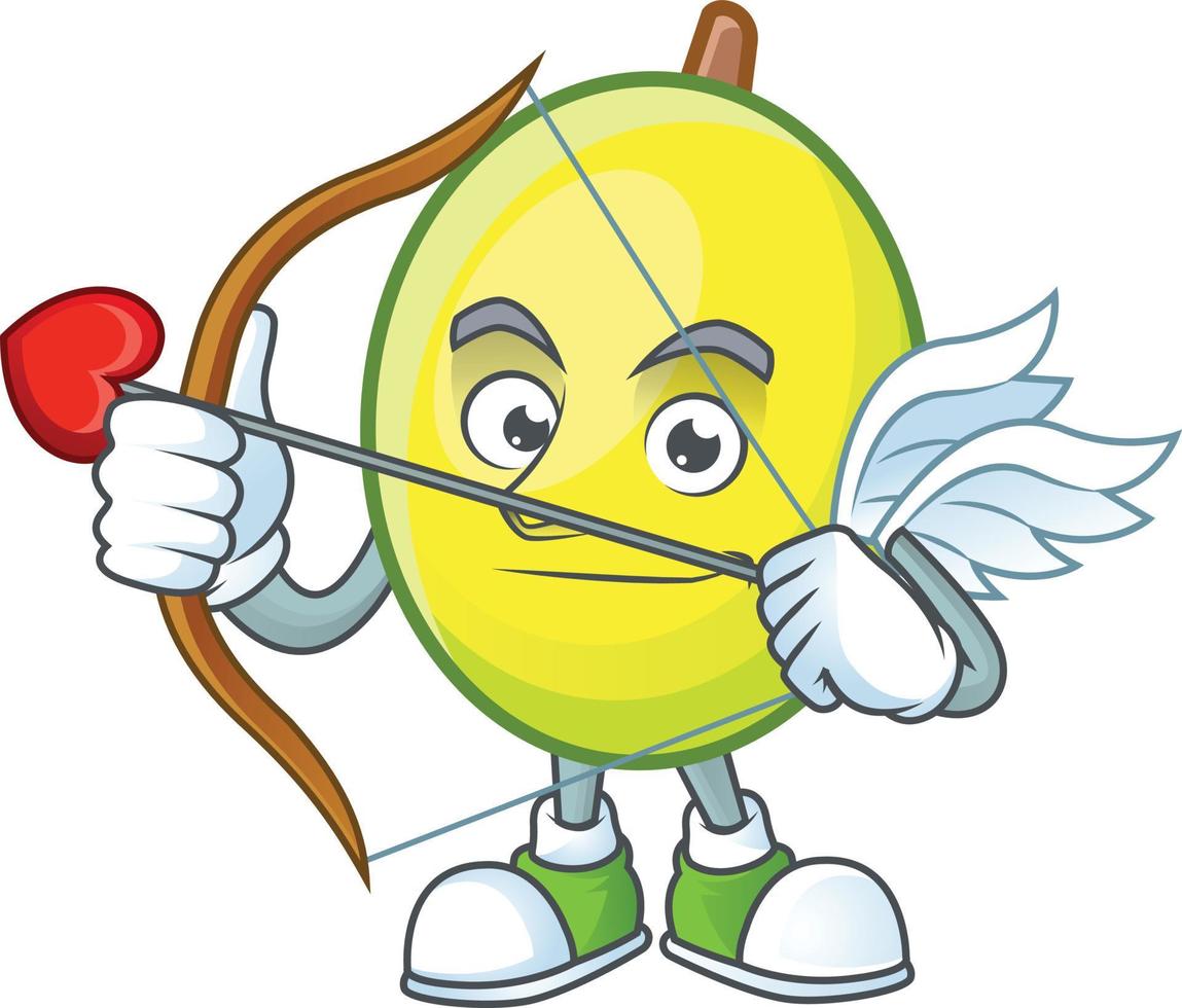 Gomortega Fruit Vector