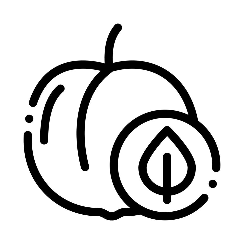 Peach Fruit Leaf Icon Vector Outline Illustration