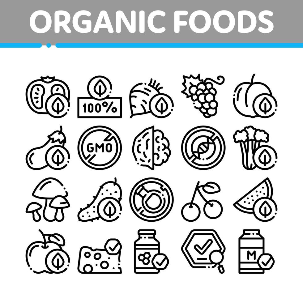 Organic Eco Foods Collection Icons Set Vector