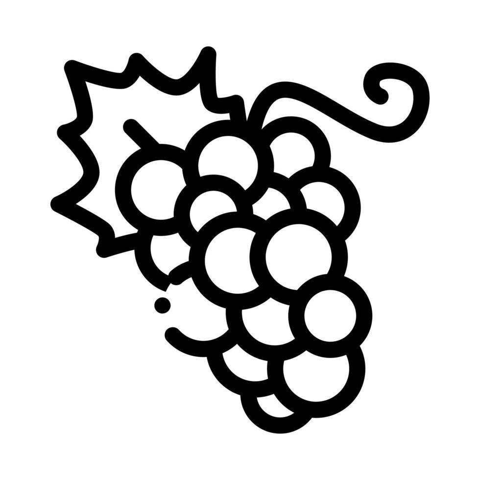 Grape Berries Icon Vector Outline Illustration