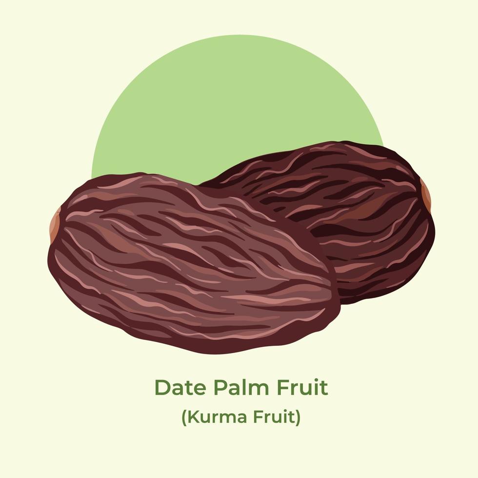 Two date palm fruit or buah kurma vector illustration isolated on green background. Couple of sweet and delicious popular ramadan fruit cuisine drawing with cartoon simple flat art style.