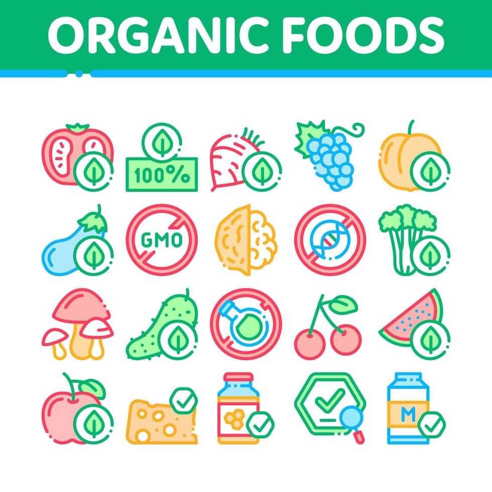 Organic Eco Foods Collection Icons Set Vector