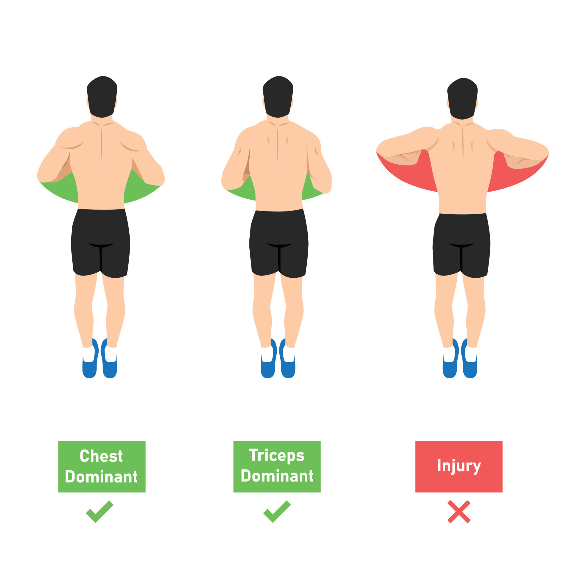 Chest Push Ups chest-push-ups