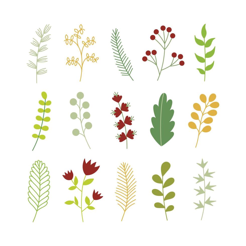 set of colorful hand drawn plant leaves vector illustration