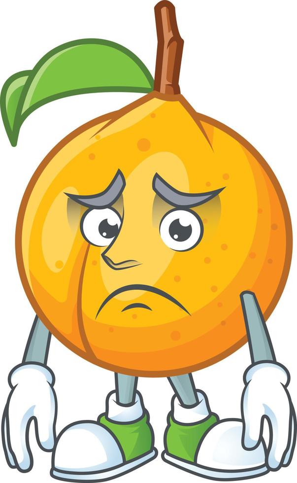 Nutmeg Fruit Vector
