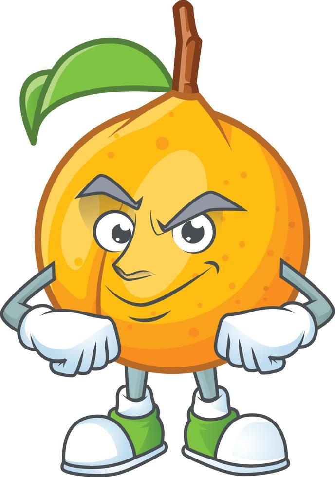 Nutmeg Fruit Vector