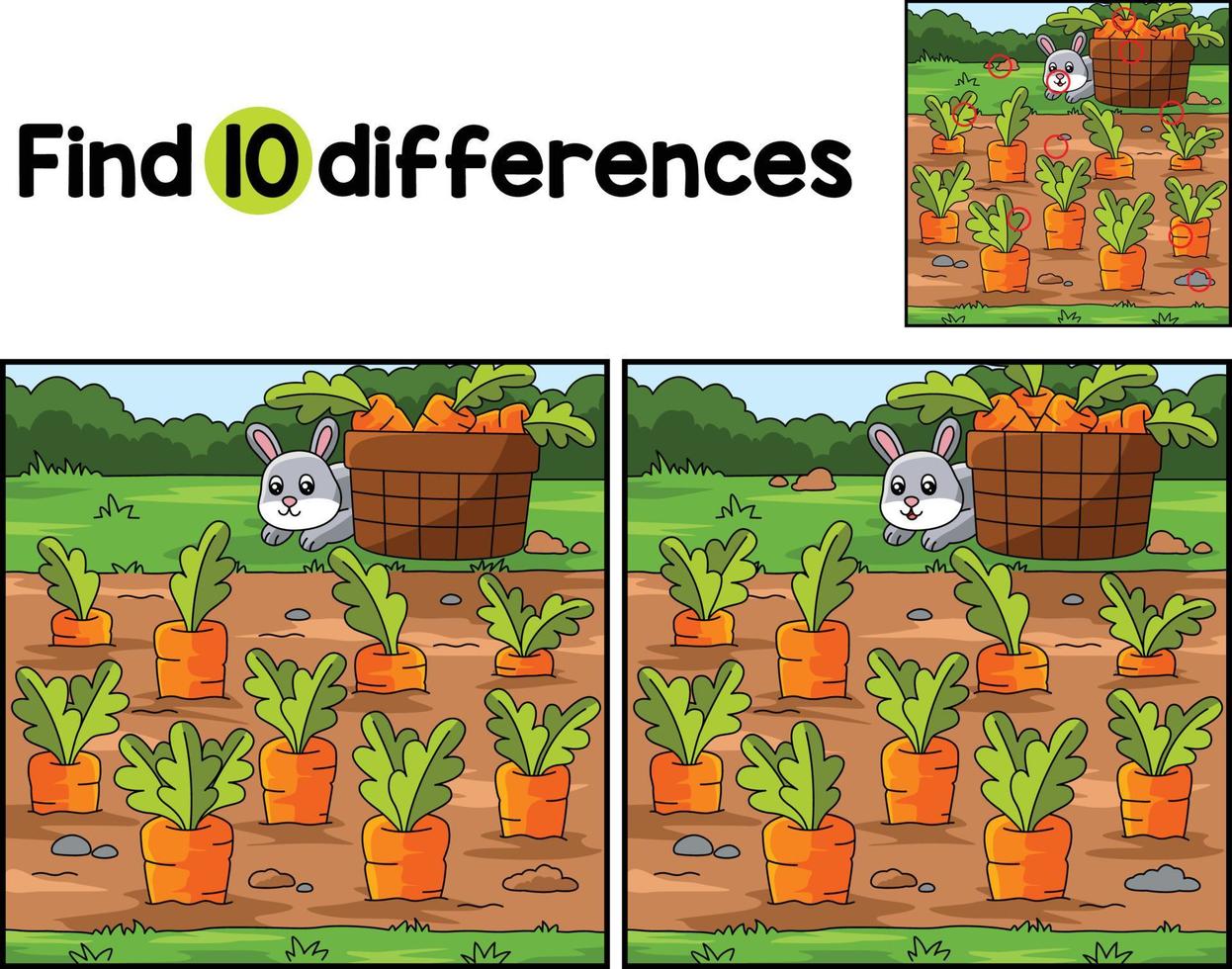 Carrot Field Farm Find The Differences vector