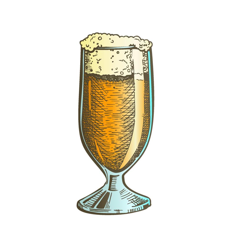 Color Drawn Classical Glass With Foam Beer Vector