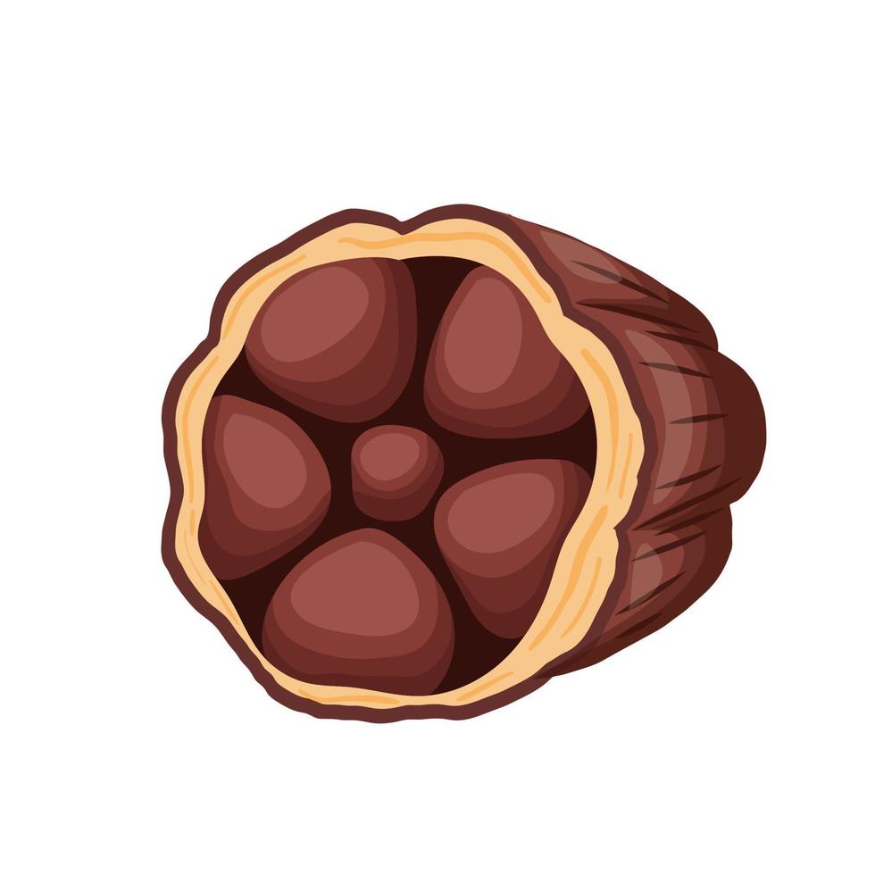 vector de dibujos animados de grano de cacao