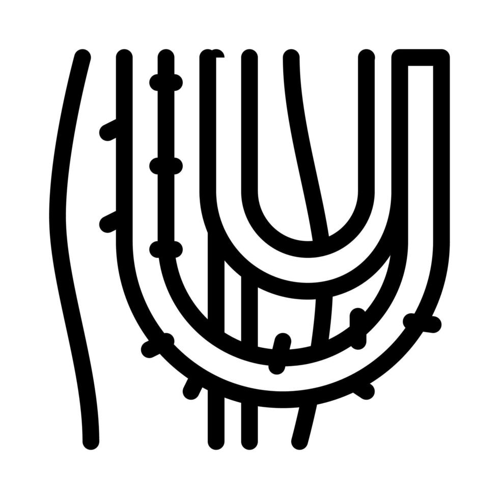 liana planta icono vector contorno símbolo ilustración