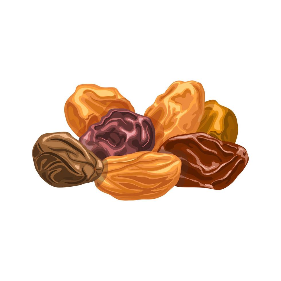 raisins dried fruit cartoon vector illustration