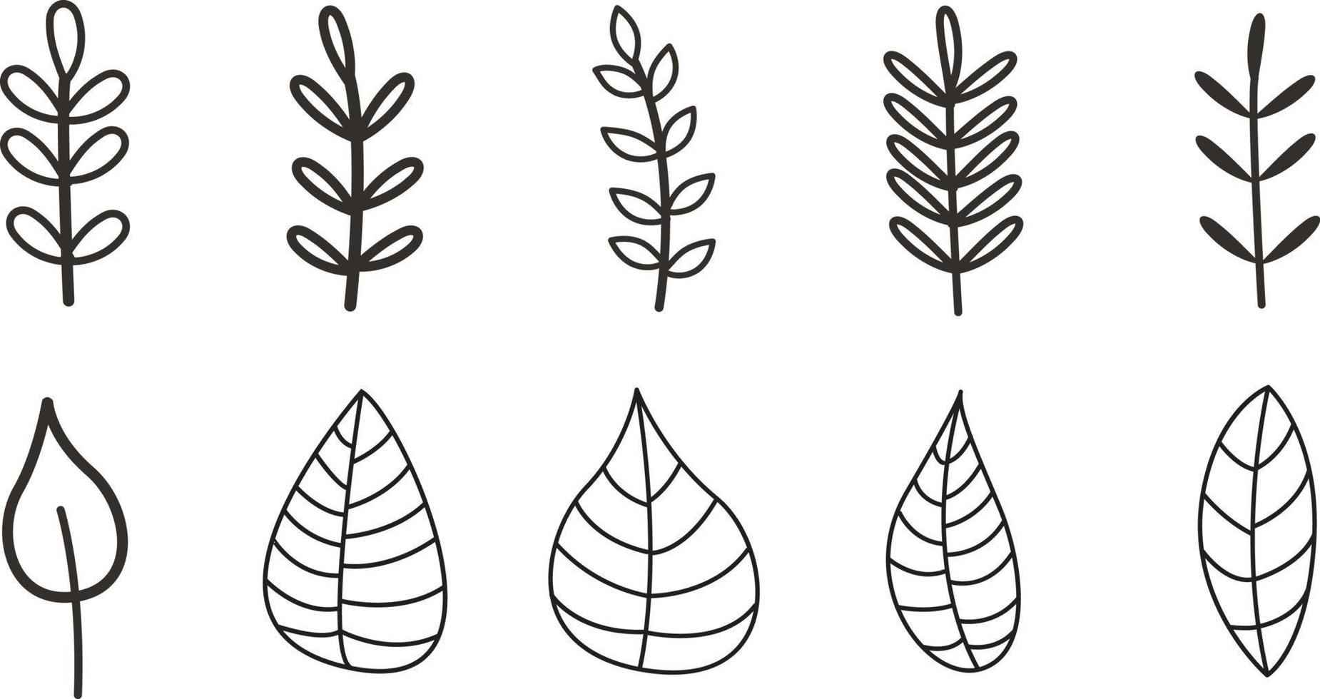 large set of black leaf twigs, outline, linear art, doodle style, collection of plants on a white background, vector illustration.