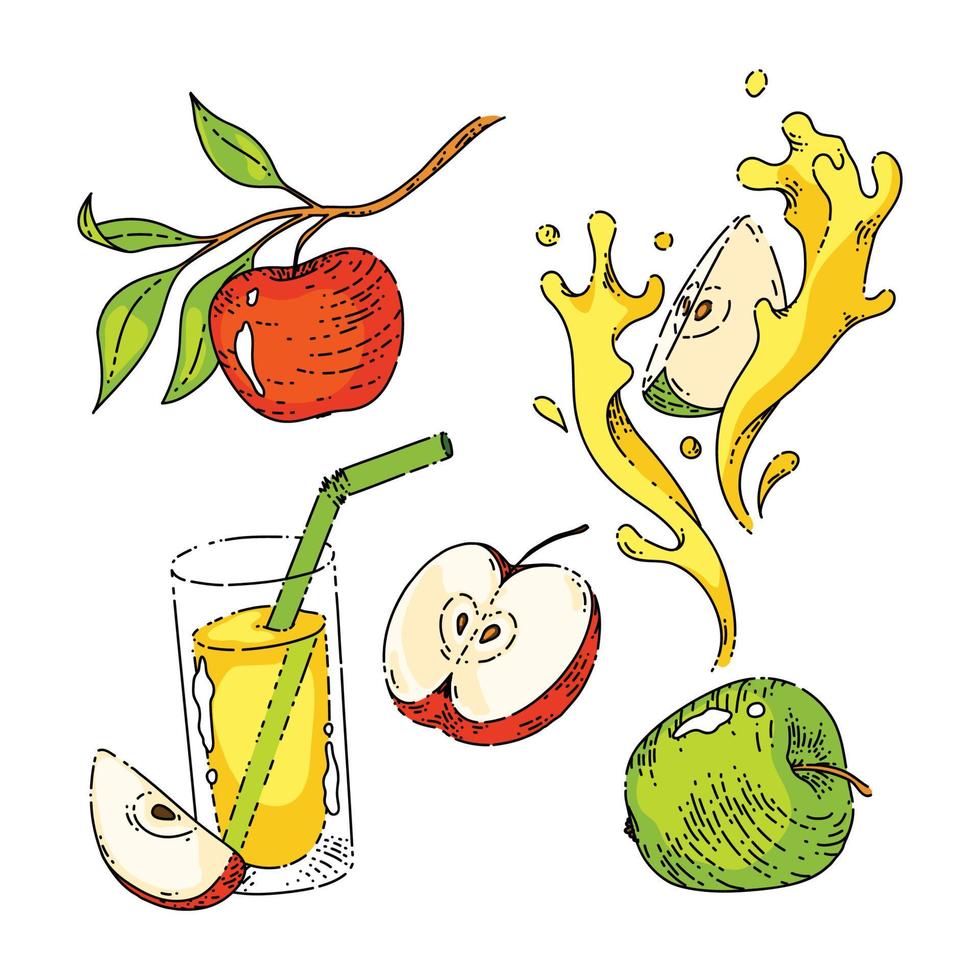 apple vintage set sketch hand drawn vector