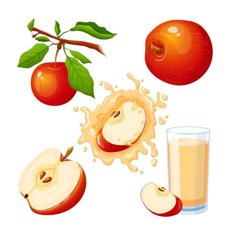 manzana fruta comida conjunto dibujos animados vector ilustración