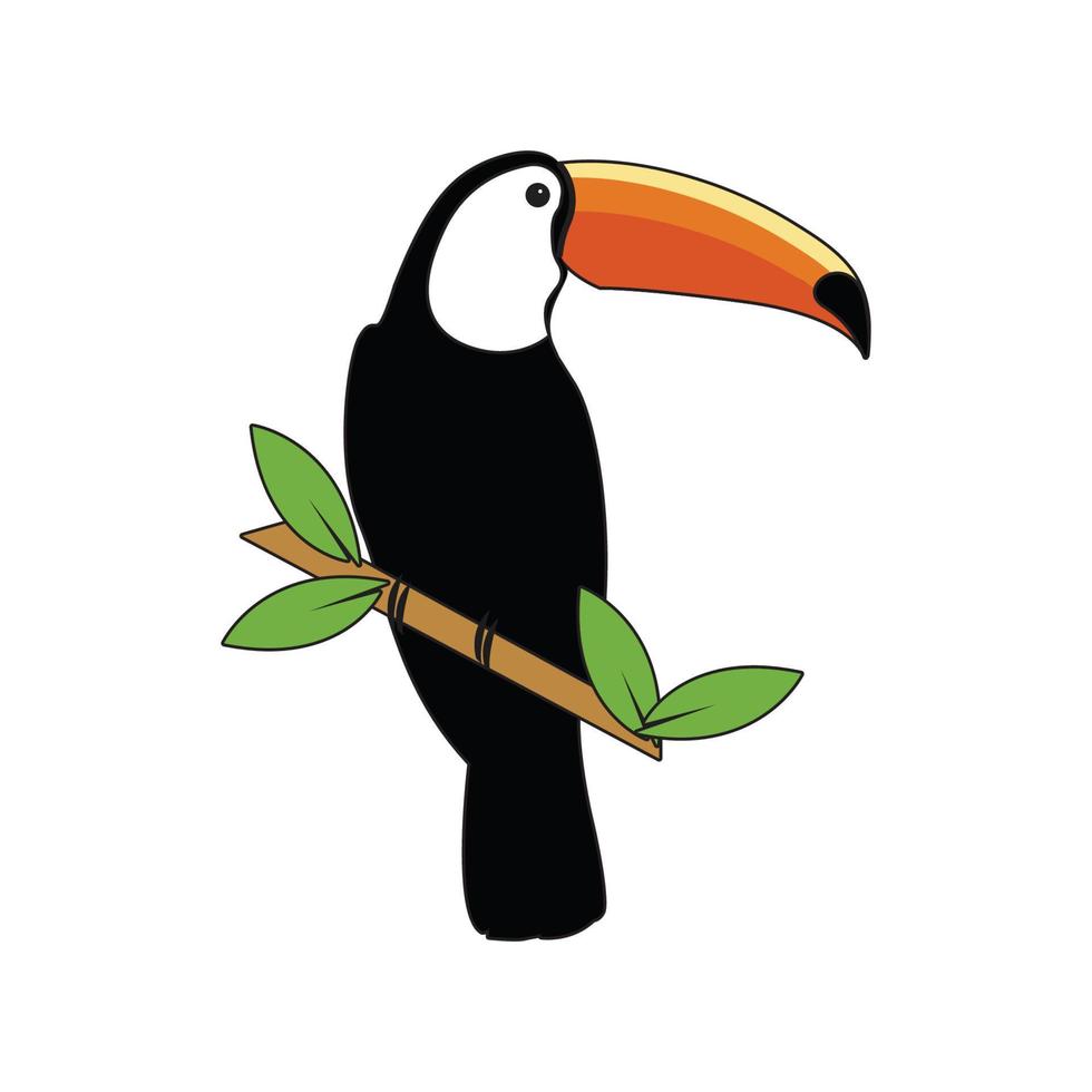Toucan bird vector illustration