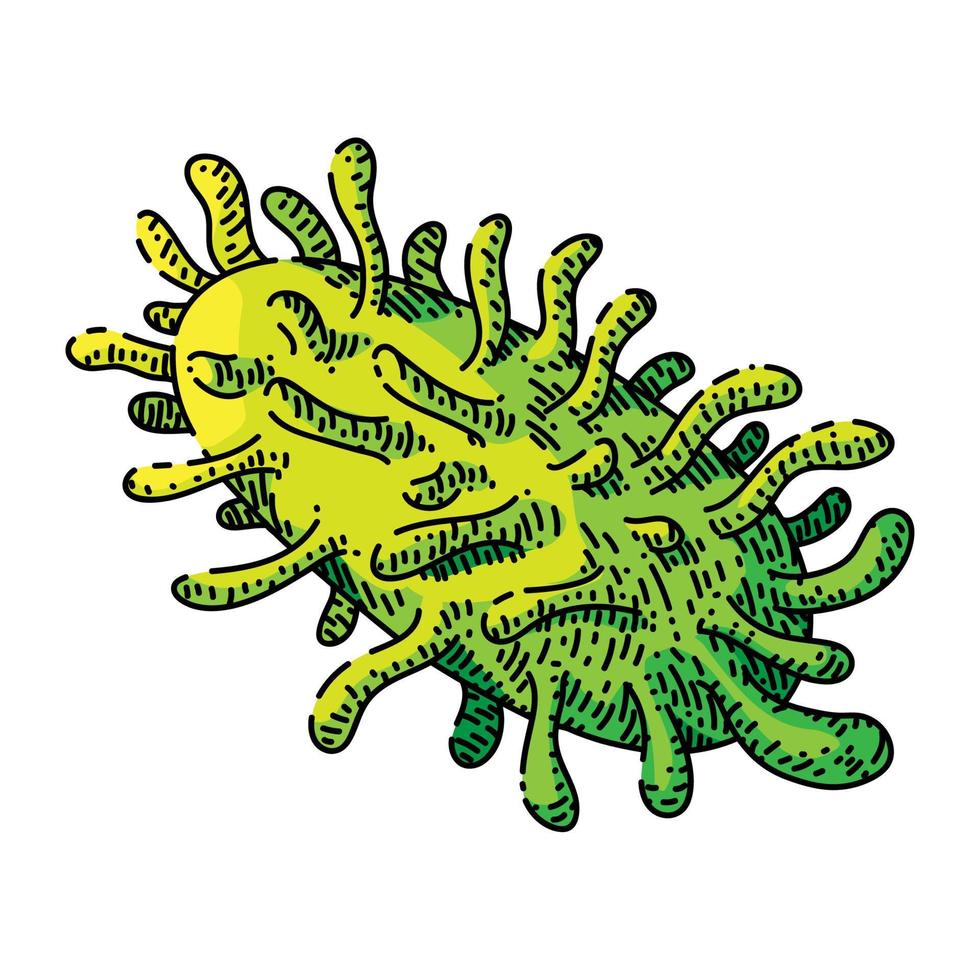 bacteria virus sketch hand drawn vector