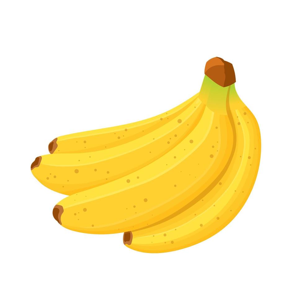 vector de dibujos animados de racimo de plátano