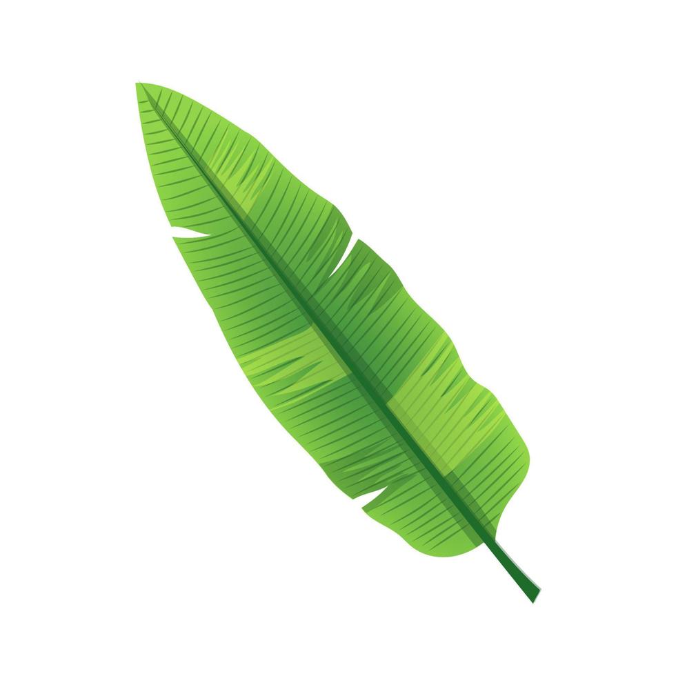 leaf banana cartoon vector