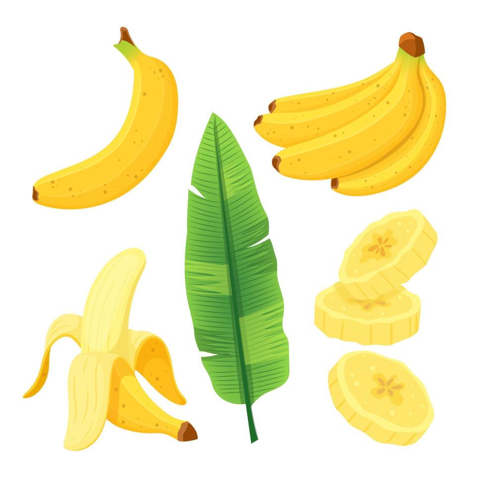 plátano, fruta, conjunto, caricatura, vector