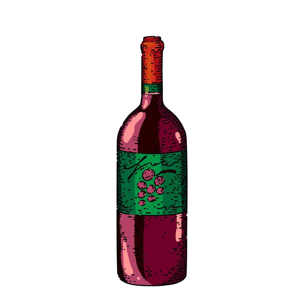 botella de vino boceto dibujado a mano vector