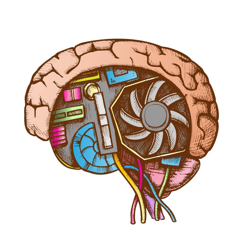 Ai Cyberntic Brain Side View Color Vector
