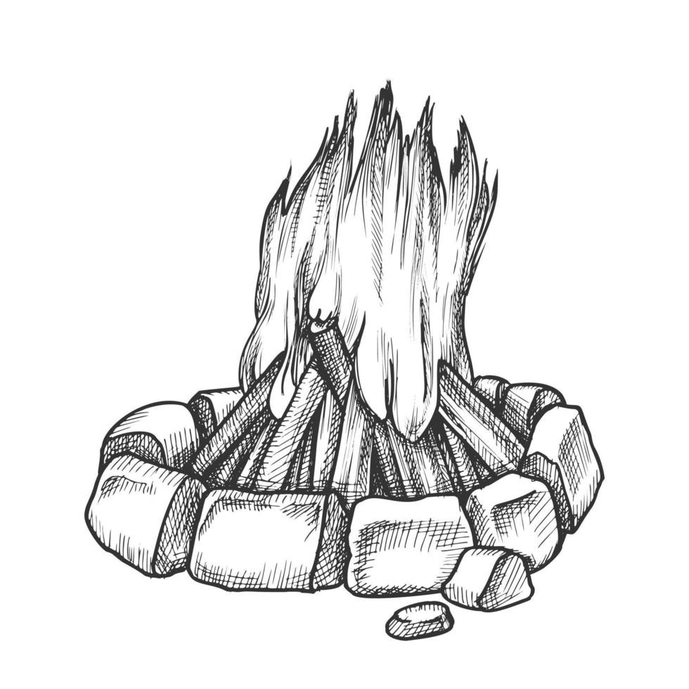 Traditional Burning Campfire Monochrome Vector