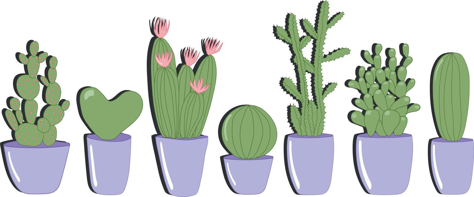 Big vector set different kinds of cactuses in pots. Home plants in pots isolated on white background. Round cactus, heart cactus, cactus with pink flowers, sharp cactus.