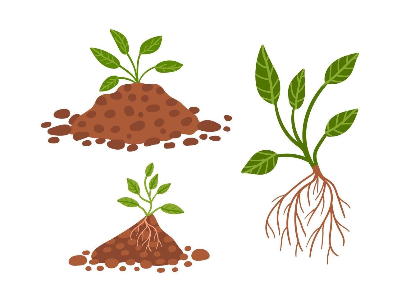 el conjunto vectorial de plantas crece en el suelo. planta dibujada a mano en suelo negro. planta frondosa de plántulas. pegatinas, decoración de primavera, textiles, tarjetas de felicitación. ilustración de stock vectorial. vector