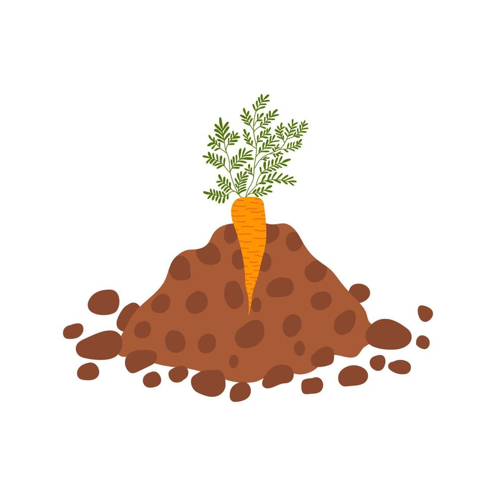 Carrot grow up in the ground. Hand drawn vector carrot in brown ground. Vector plant illustration in cartoon style. Spring decor, gardening.