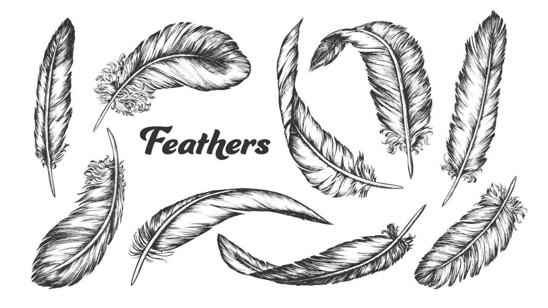 colección de diferentes plumas establecer vector de tinta