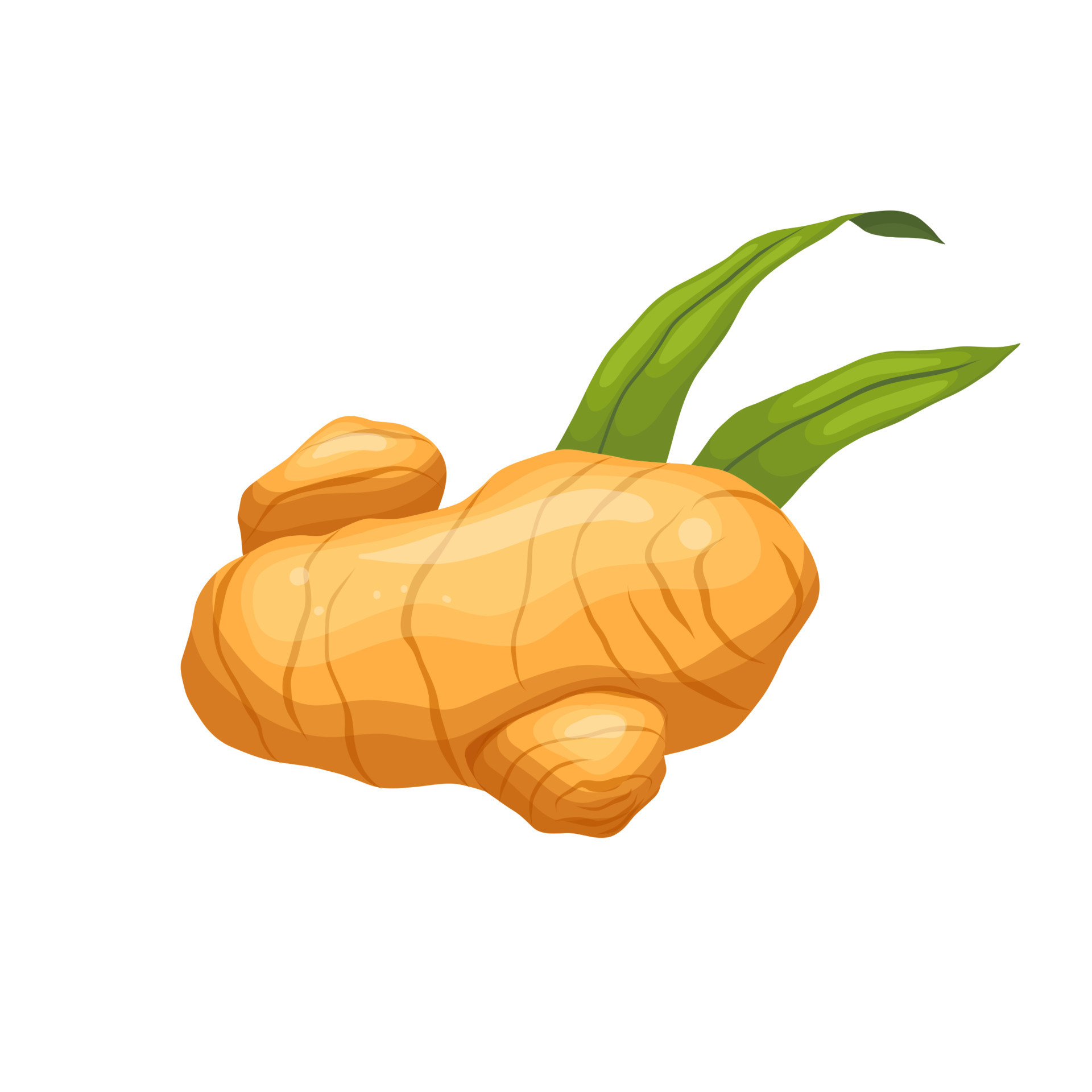 ginger food cartoon vector illustration 17589171 Vector Art at Vecteezy