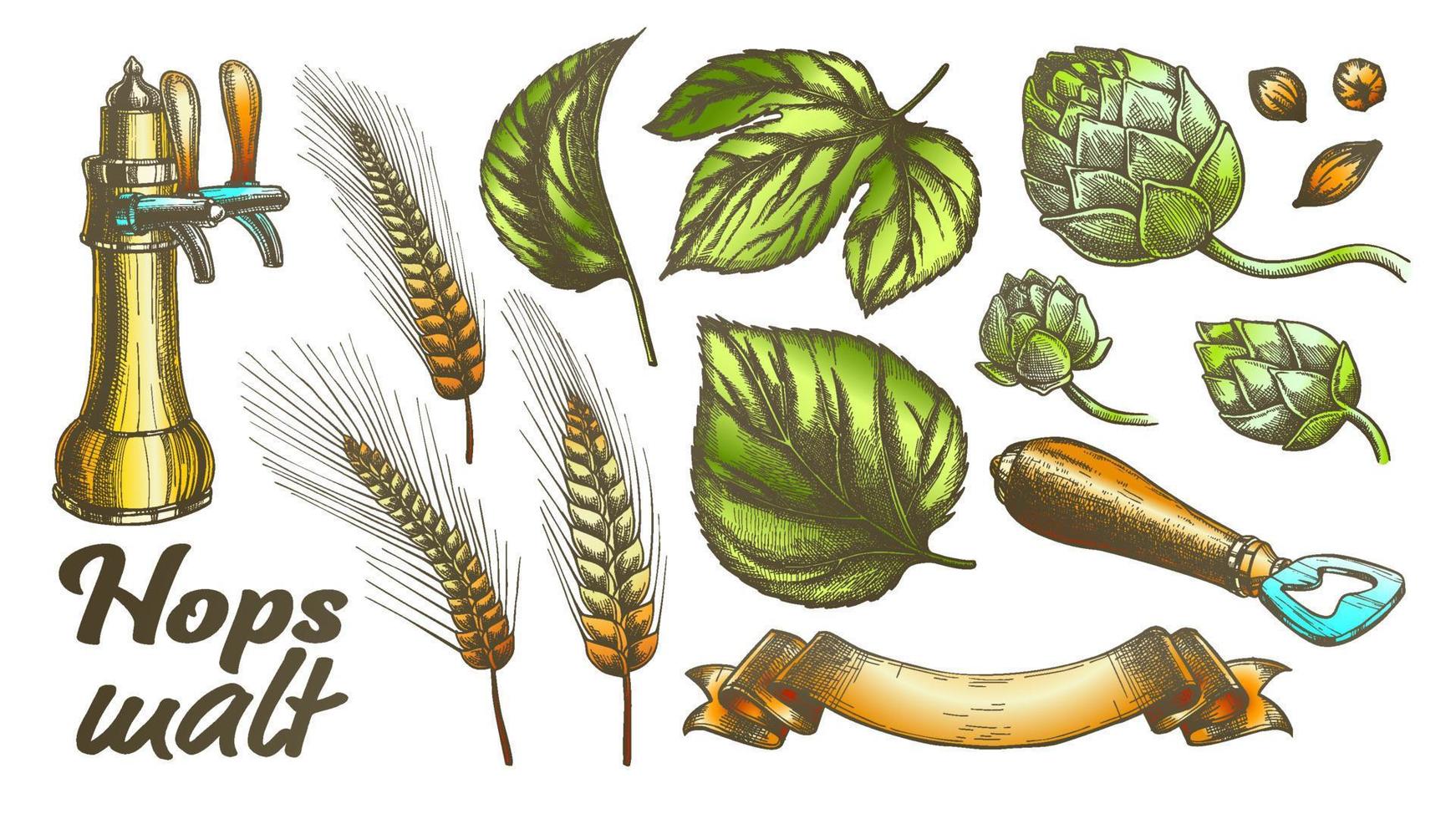 Color Hop Leaves Barley Wheat Rye Ear Opener Set Vector