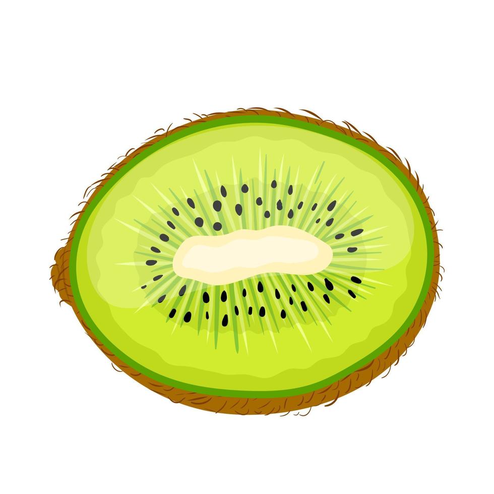 kiwi green cut cartoon vector illustration