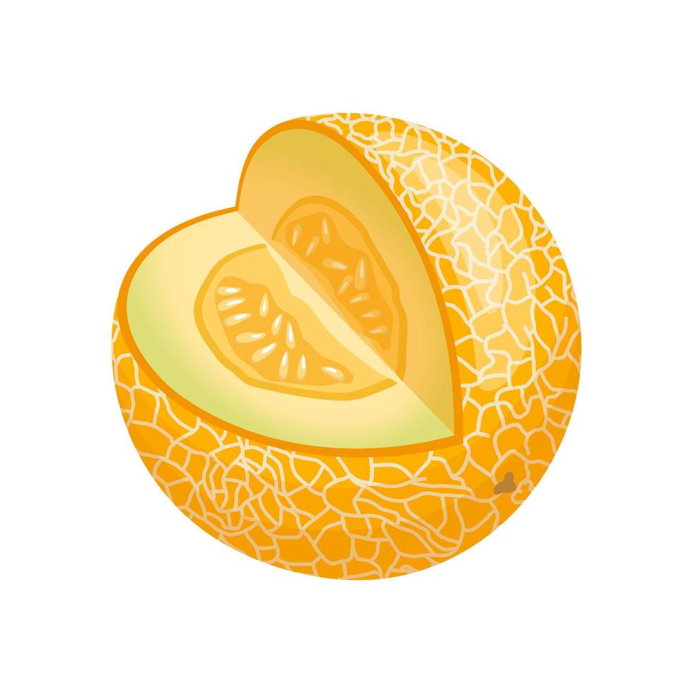 melon yellow cartoon vector illustration