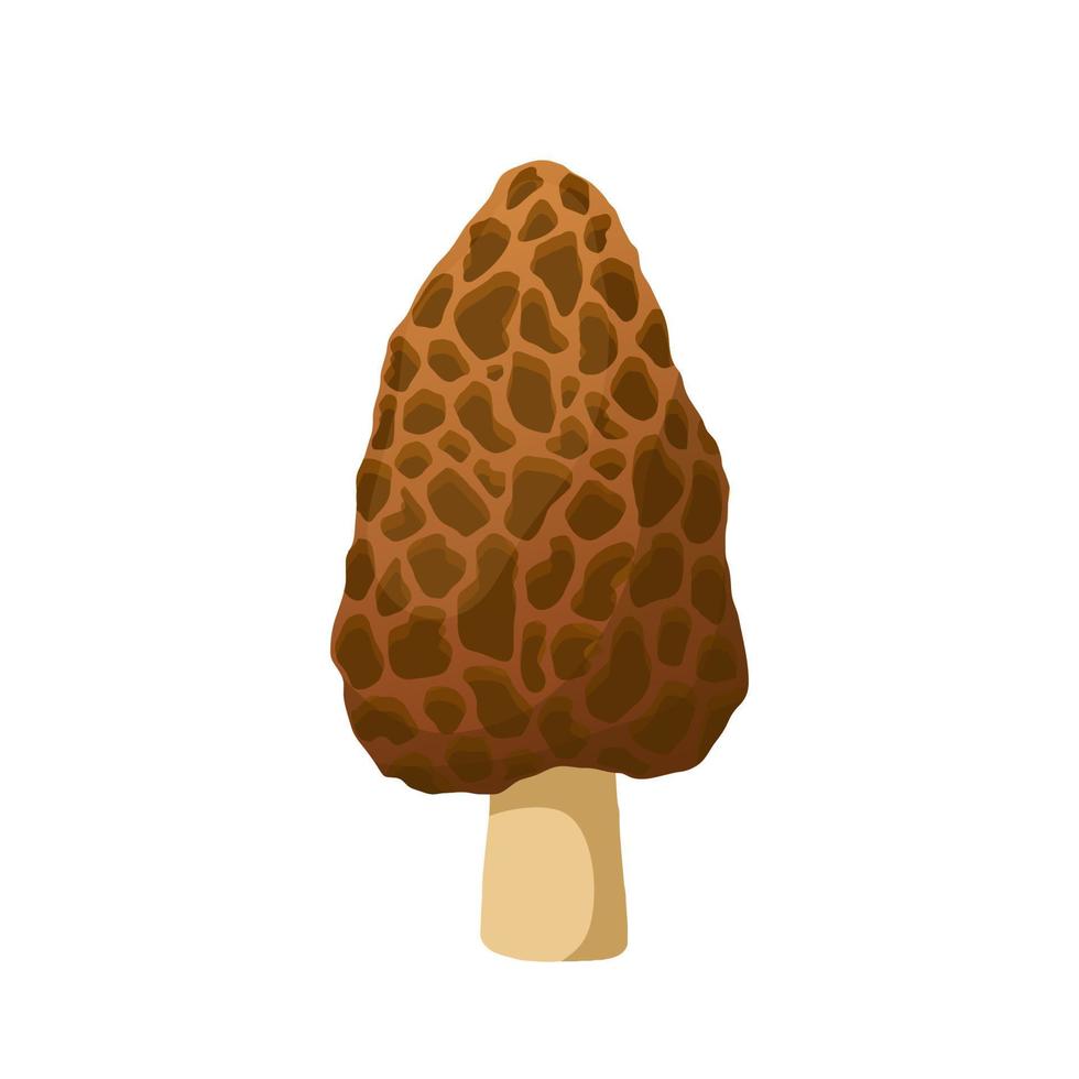 morel mushroom cartoon vector