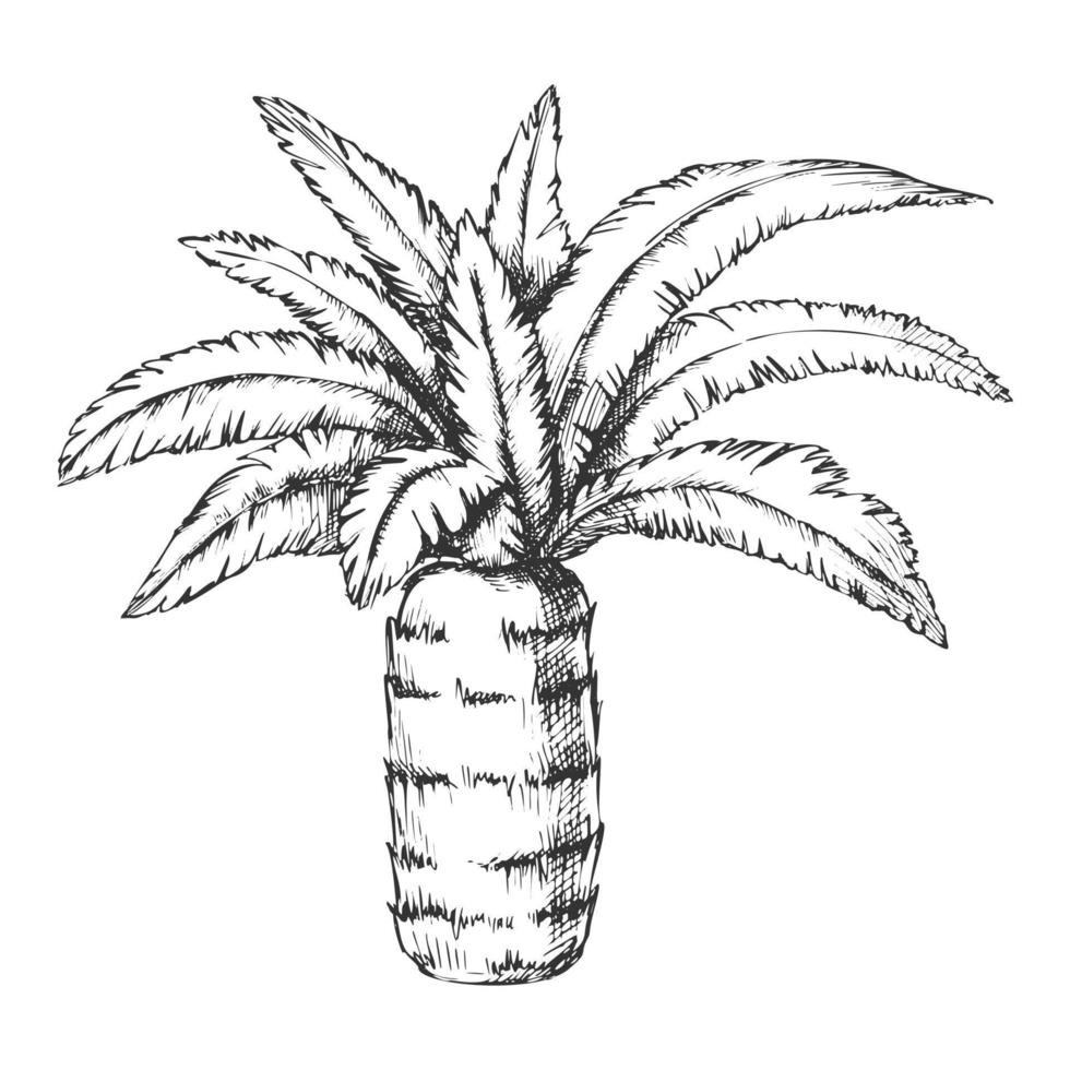 Pineapple Palm Tropical Tree Monochrome Vector