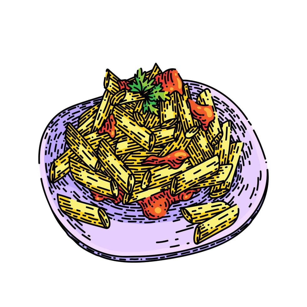 penne pasta sketch hand drawn vector